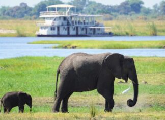 African Nature-Based Tourism Platform