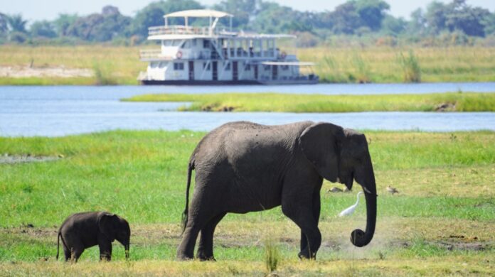 Nikhil AdvaniWWF-US 3 African Nature-Based Tourism Platform