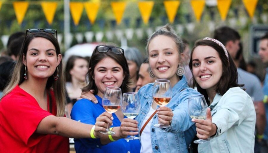 Experience the glory of Stellenbosch at inaugural Wine Town show
