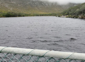 dam drowning