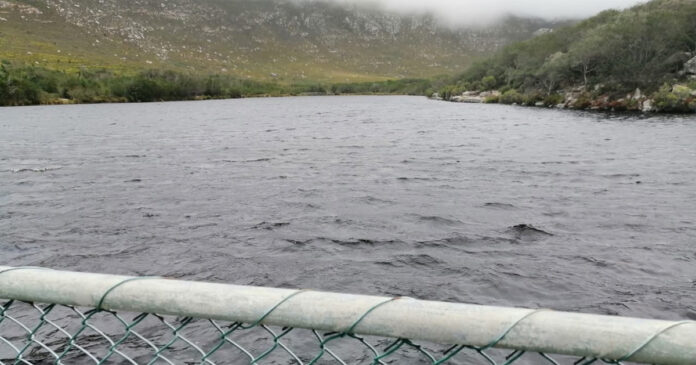 dam drowning dam drowning