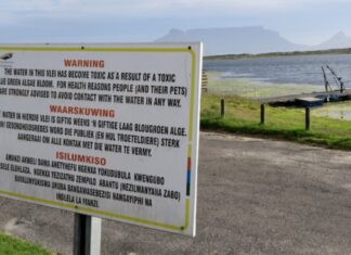 New data shows how badly polluted Cape Town’s vleis