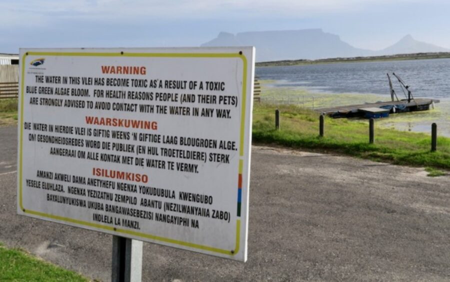 New data shows how badly polluted Cape Town’s vleis