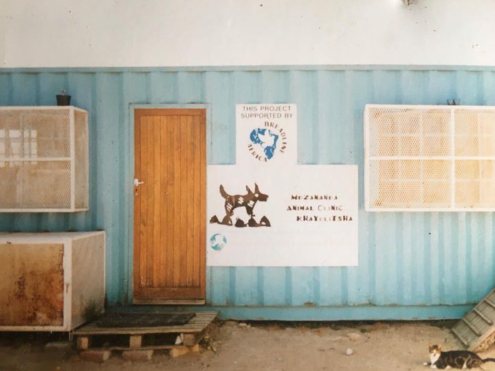 The first shipping container, animal clinic