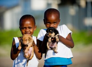 khayelitsha animal clinic