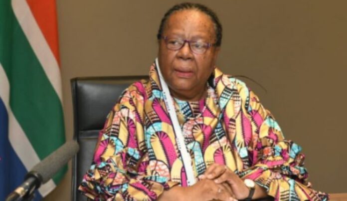 naledi pandor SA to engage UK over temporary ban on flights