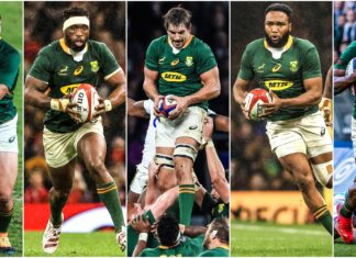 Five Springboks named in World Rugby Dream Team