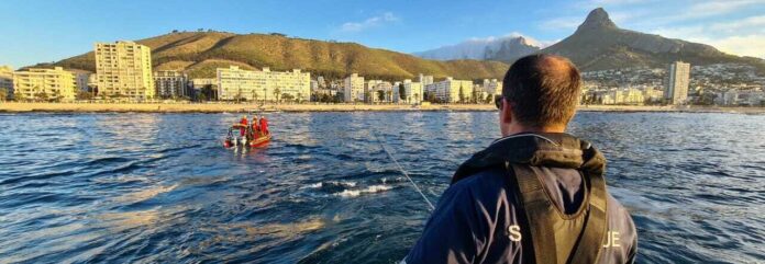 Whale-Carcass-removed-from-the-shoreline-NSRI Whale carcass removed from Cape Town's shoreline. Photo: NSRI