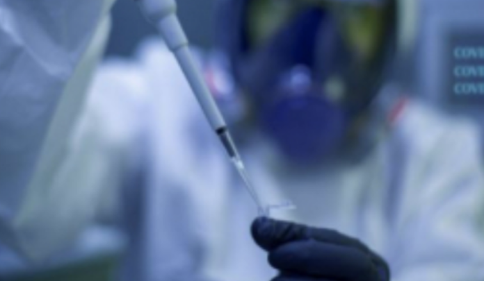 brics President Ramaphosa calls on BRICS scientists to cooperate on COVID-19 research