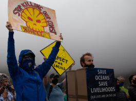 Protesters in Muizenberg, Cape Town, call for Shell’s seismic survey on the Wild Coast to be stopped. Archive photo: Ashraf Hendricks