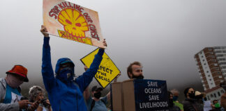Protesters in Muizenberg, Cape Town, call for Shell’s seismic survey on the Wild Coast to be stopped. Archive photo: Ashraf Hendricks