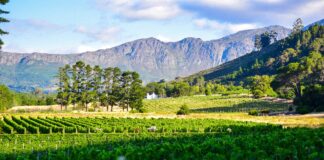 Land Reform Amendment to Allow Expropriation of Land Without Compensation Fails to Pass