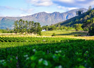 Land Reform Amendment to Allow Expropriation of Land Without Compensation Fails to Pass