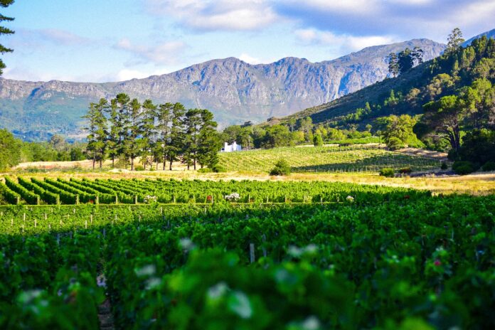 south africa land expropriation pix Land Reform Amendment to Allow Expropriation of Land Without Compensation Fails to Pass