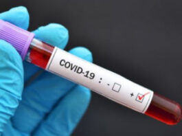 south-african-covid-update