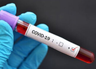 south-african-covid-update