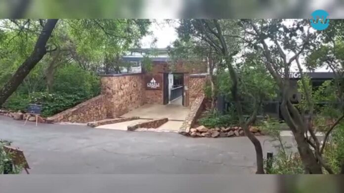 Alien Aircraft Crash in Magaliesberg Solved Alien Aircraft Crash in Magaliesberg Solved