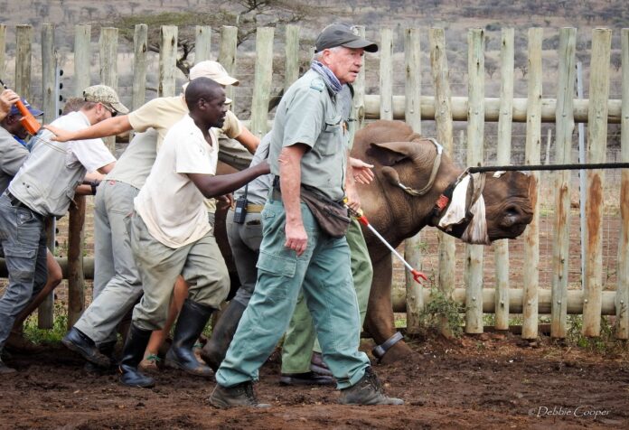 Poaching Pandemic: Rhino Murders in South Africa at CRITICAL Level Poaching Pandemic: Rhino Murders in South Africa at CRITICAL Level