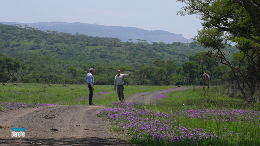 Poaching Pandemic: Rhino Murders in South Africa at CRITICAL Level