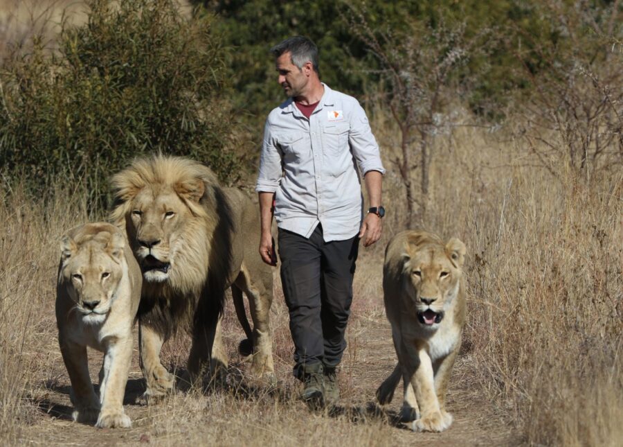 Kevin Richardson lion whisperer 3