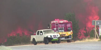 WATCH Kleinmond Wildfire Contained After Wreaking Havoc in Western Cape, South Africa