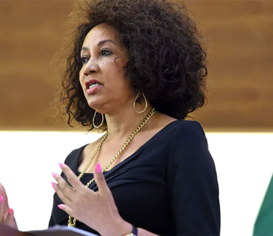 South Africa’s tourism minister Lindiwe Sisulu has sparked controversy with her attack on the country’s constitution and judges. Photo: GCIS/Flickr