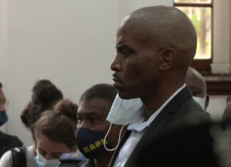 Parliament Fire Suspect Zandile Mafe Charged with Terrorism and Referred to Mental Institution