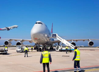 cargolux stowaway from South Africa
