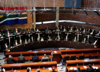 Lamola Condemns Attack on Constitutional Court