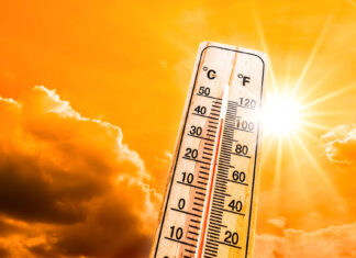 Alexander Bay's Record-Breaking Temperature During South African Heatwave