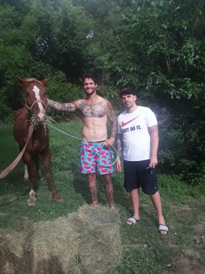 vaal horse rescue
