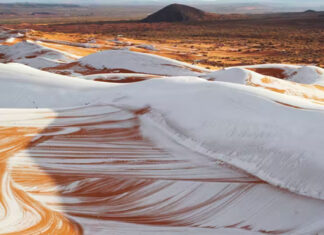 Snowfall in the Sahara desert. Photo: derdour rachid/Shutterstock