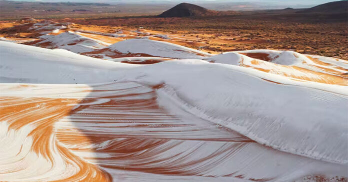 snow-Sahara Snowfall in the Sahara desert. Photo: derdour rachid/Shutterstock