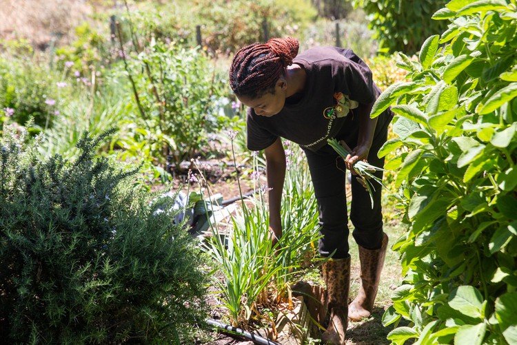 Zintle Hashe works in her vegetable garden on the old army base in Tamboerskloof.