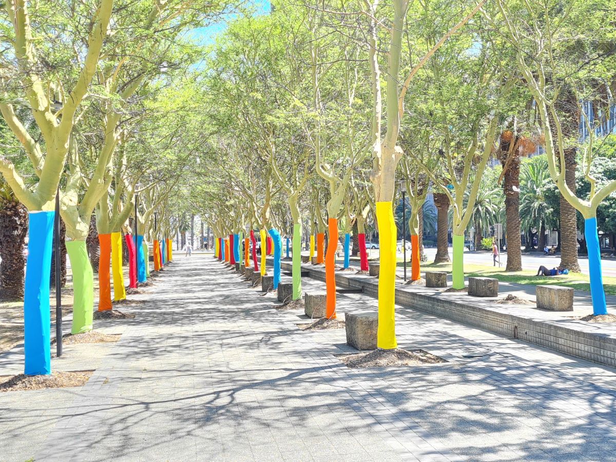 Rainbow Tree Project Cape Town