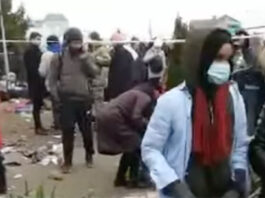South African Students Hindered by Alleged Discrimination at Ukraine Border Posts