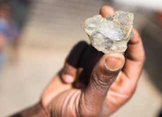 An informal miner holds up a piece of rock containing flecks of gold. Archive photo: Shaun Swingler