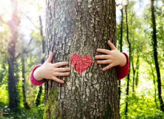 South Africa Adds 4 Tree Species to Protected Trees List