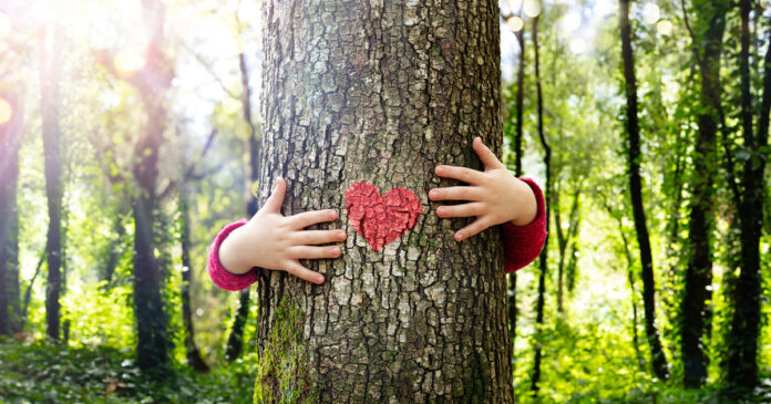 protected-tress-south-africa-iStock-1311991091 South Africa Adds 4 Tree Species to Protected Trees List
