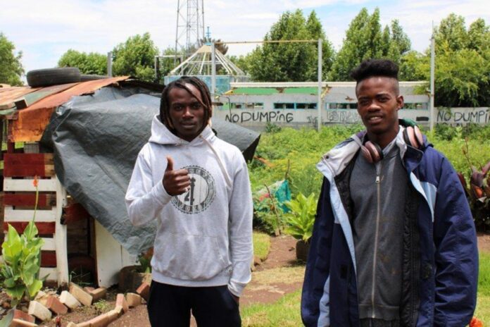 soweto food garden soweto food garden