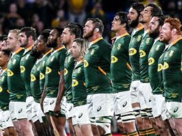 Where to buy Springbok Test Tickets Go On Sale