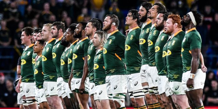 springbok tickets 2022 SARugby Where to buy Springbok Test Tickets Go On Sale