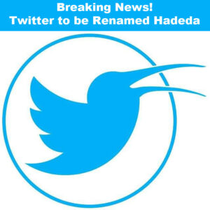 Twitter joke Elon Musk Hadeda