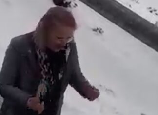 WATCH SA Woman's Frustration at Being Stuck in Snow Provides Light Relief to Others.