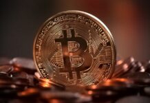 Central African Republic Adopts Bitcoin as Official Currency