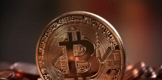 Central African Republic Adopts Bitcoin as Official Currency