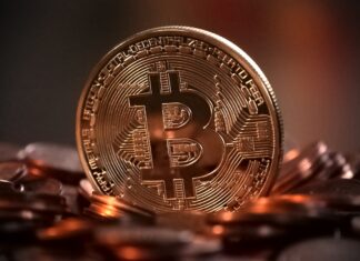 Central African Republic Adopts Bitcoin as Official Currency