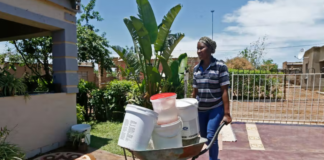 south africa's water crisis threat persists