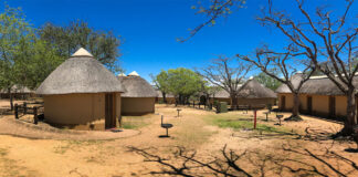 Kruger Park Tourist Facilities to Receive a R370-Million Upgrade
