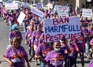 Farm workers marched in Worcester on Thursday, demanding an urgent ban on 67 pesticides used on farms. Photo: Ashraf Hendricks